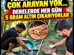 Türkiye'de altın çok arayan yok
