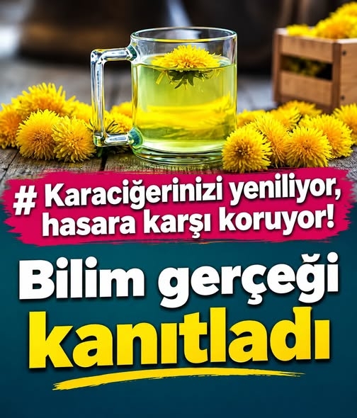 Karaciğerinizi yeniliyor, hasara karşı koruyor galerisi resim 1
