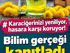 Karaciğerinizi yeniliyor, hasara karşı koruyor