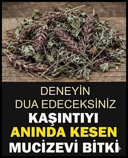 Kaşıntıyı Anında Kesen Mucize Bitki