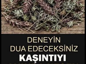 Kaşıntıyı Anında Kesen Mucize Bitki