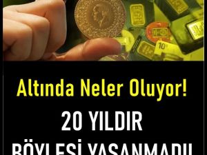 Altın ve Gümüş Son Hali