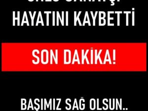 Usta Oyuncumuz
