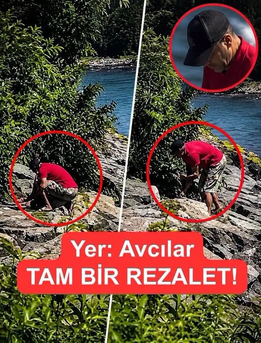 Yer Avcılar galerisi resim 1
