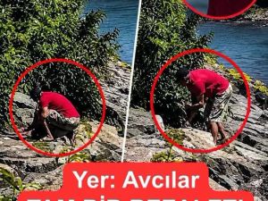 Yer Avcılar