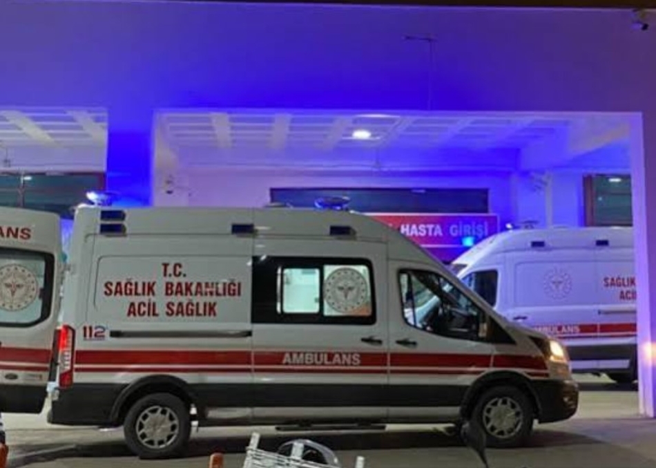Sevilen bir çınar daha gitti galerisi resim 1
