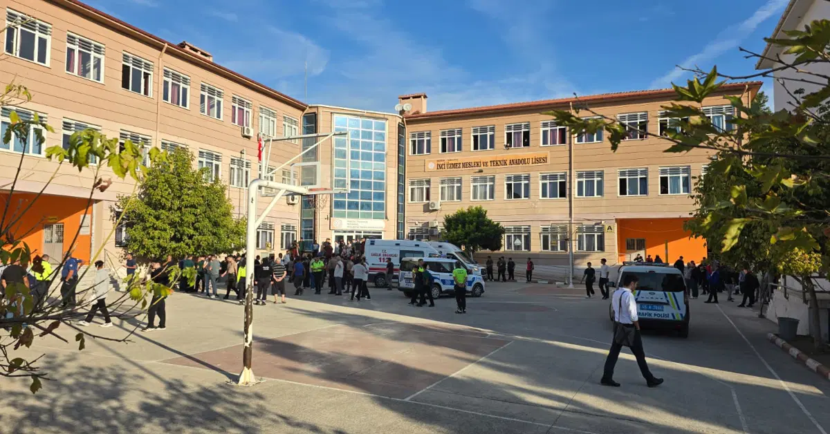 Manisa Anadolu Lisesine galerisi resim 1