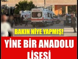 Manisa Anadolu Lisesine