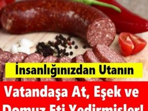 Listeye yeni firmalar girdi