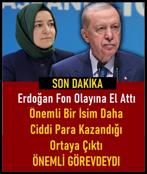 Fon Soruşturması