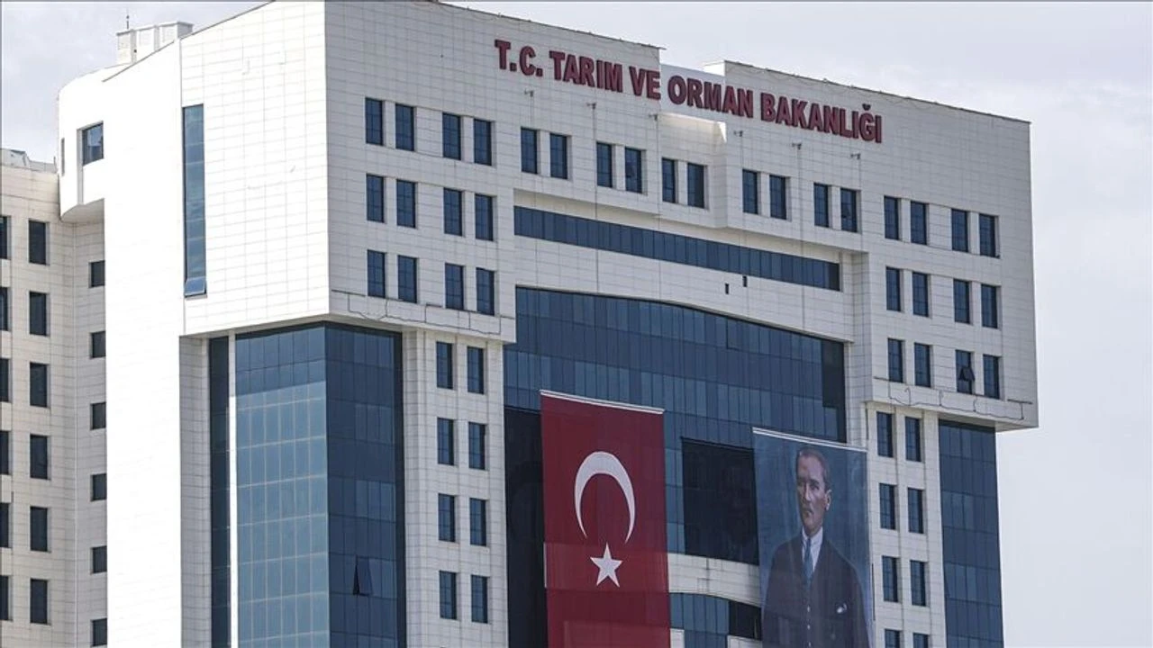 Raflardan Kaldırılıyor galerisi resim 1