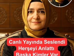 Fon soruşturması