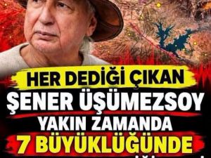 Prof. Dr. Üşümezsoy