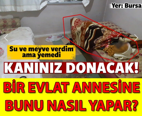 Korkunç Olayın Detayları Akıllara Zarar galerisi resim 1