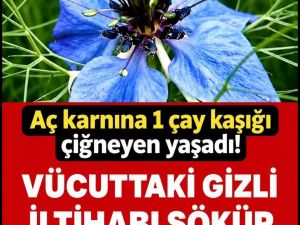 Bağışıklığı Güçlendiren ve Vücudu Temizleyen Bitkisel Rehber