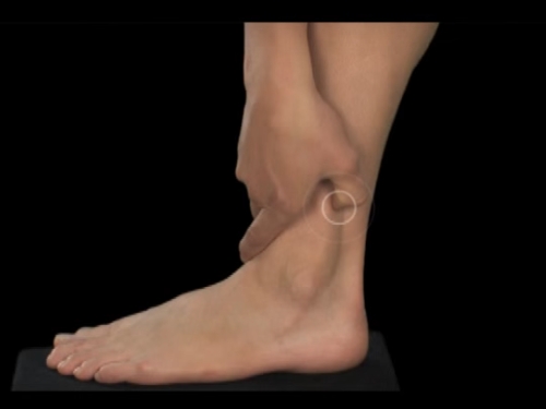 Baş ve Boyun Ağrısı Olanlar Dikkat galerisi resim 6