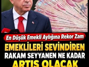 Emekliye Seyyanen