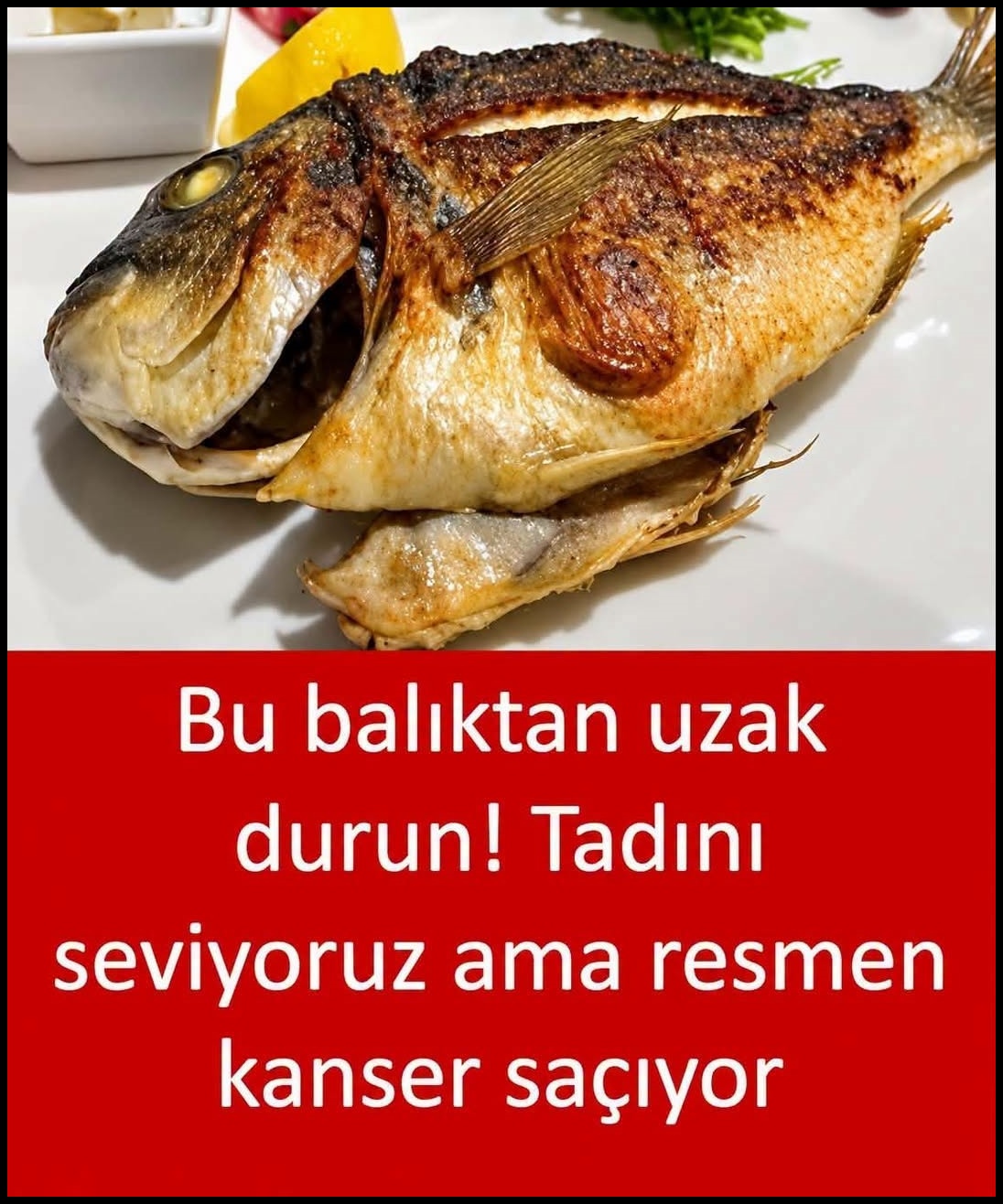 Bu Balıktan Uzak Durun