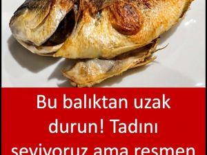 Bu Balıktan Uzak Durun
