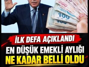 Emekliyi Sevindirecek Açıklama