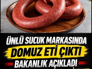 Vatandaşa at eşek ve dmuz eti yedirdiler
