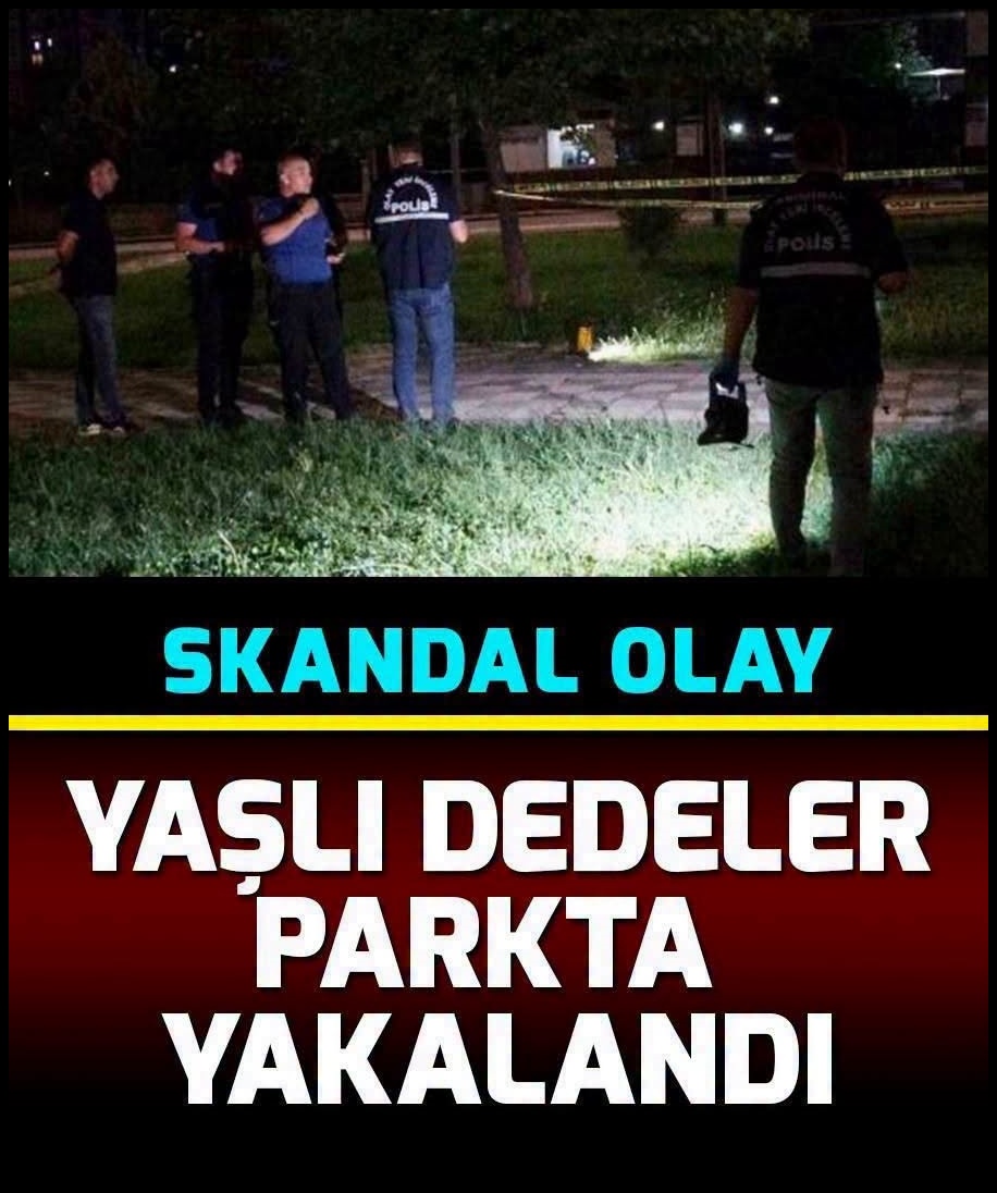 Paylaşılan kareler, platform kullanıcıları arasında