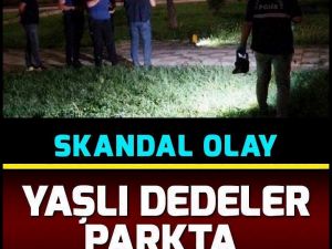 Paylaşılan kareler, platform kullanıcıları arasında