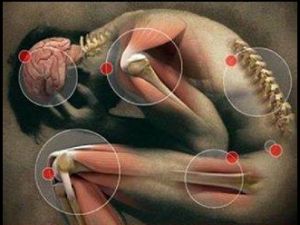 MUTLAKA OKUYUN ! KEMİK ERiMESİNE KARŞI, DOĞAL BİR ÇÖZÜM...