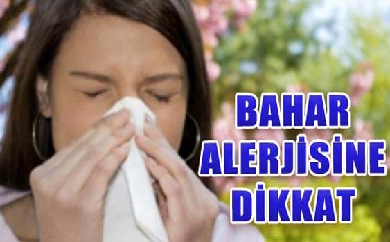 Bahar alerjisi belirtileri nelerdir? galerisi resim 8