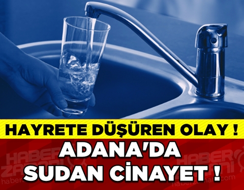 Adana’da suyunu kesen ev sahibini öldürdü galerisi resim 1