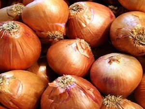 Soğan'ın bilinmeyenleri