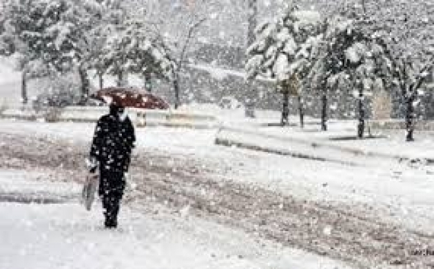 BU DEFA FENA GELİYOR galerisi resim 3