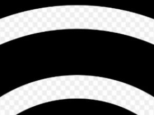 Evinizde bitkileriniz kuruyup ölüyor mu? Sıra size gelmeden mutlaka okuy