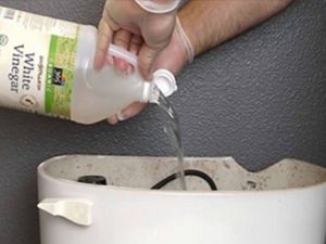 KLOZETE SİRKE DÖKTÜ ! SİFONU DA ÇEKİNCE BAKIN NE OLDU......