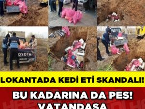 BU KADARINA DA PES! VATANDAŞA KEDİ ETİ YEDİRDİLER
