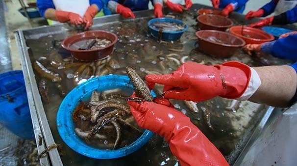 Bu işi yapan paraya para demiyor! galerisi resim 10