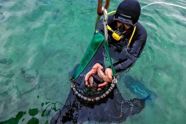 Bu işi yapan paraya para demiyor! galerisi resim 11