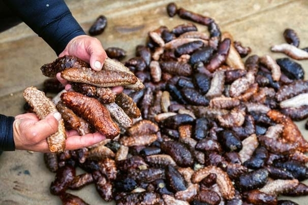 Bu işi yapan paraya para demiyor! galerisi resim 14