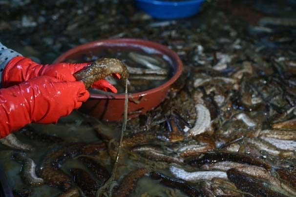 Bu işi yapan paraya para demiyor! galerisi resim 3