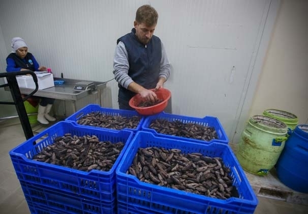 Bu işi yapan paraya para demiyor! galerisi resim 5