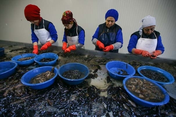 Bu işi yapan paraya para demiyor! galerisi resim 6