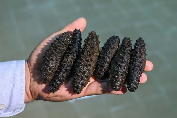 Bu işi yapan paraya para demiyor! galerisi resim 7