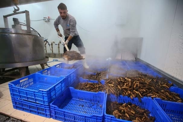 Bu işi yapan paraya para demiyor! galerisi resim 9