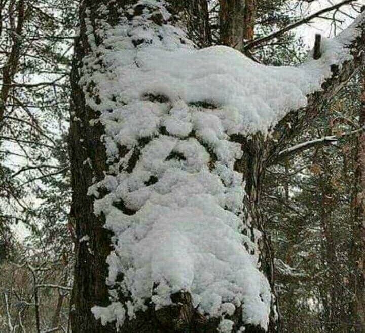 İLGİNÇ KARDAN ADAM galerisi resim 10