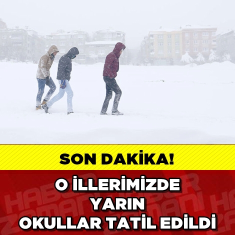 SON DAKİKA! O İLLERİMİZDE YARIN OKULAR TATİL! galerisi resim 1