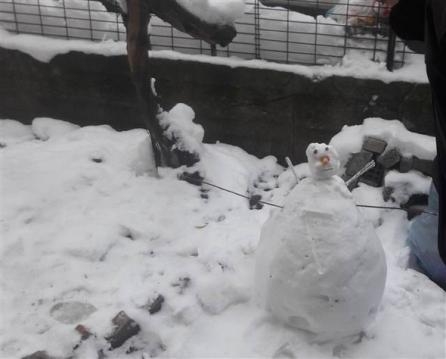 BURSA'DA ANNE VAHŞETİ! İKİZLERDEN GERİYE YÜREK YAKAN ANILAR KALDI.. galerisi resim 2