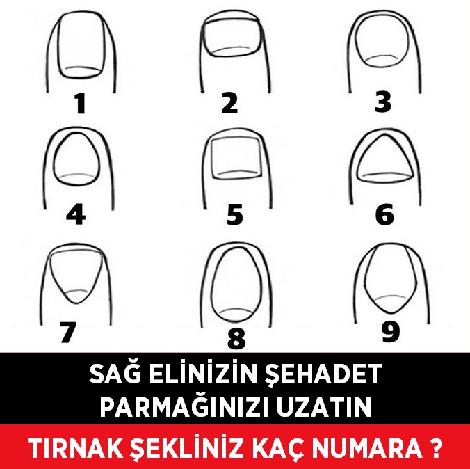 Tırnak Şekline Göre İnsan Kişiliği galerisi resim 1