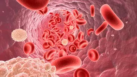 DOKTORLARIN ASLA SÖYLEMEYECEĞİ, KANSERİN ARDINDAKİ GİZLİ GERÇEK! galerisi resim 3