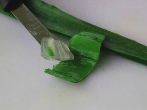 SAÇINIZA BUNDAN SÜRERSENİZ 1 HAFTA İÇİNDE… ŞOK OLACAKSINIZ