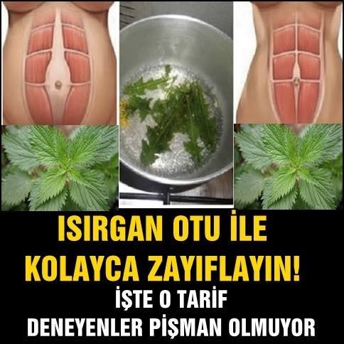 Isırgan otu ile kolayca zayıflayın.. İşte o tarif deneyenler pişman olmu galerisi resim 1